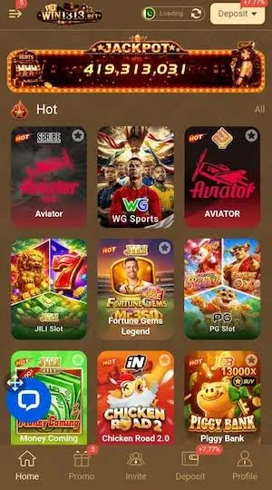 WIN 1313