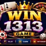 WIN 1313